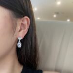 Elegant Halo Drop Earrings - Image 5