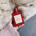 Gucci Bloom Ambrosia di Fiori Eau de Parfum - 100 ml (3.3 oz) - Image 5